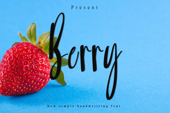 Berry Font: Playful Handwritten Typography for Web Design