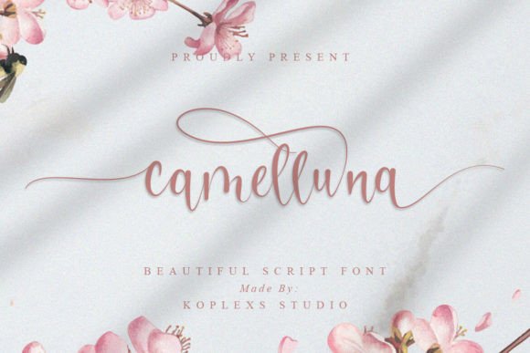 Camelluna Font Review: Elevating Campaign Visuals
