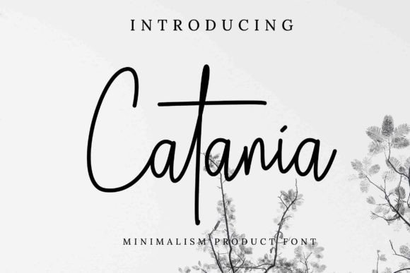 Catania: A Designer’s Take on This Script Font
