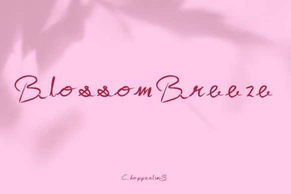 Elegant Branding Starts with Blossombreeze Font