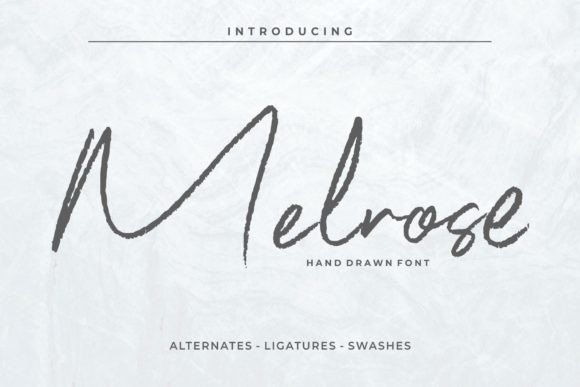 Melrose: A Script Amp Font for Bold Editorial Statements